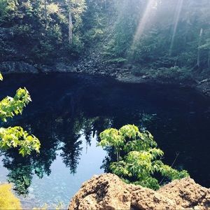 Meet your Posher, Leah